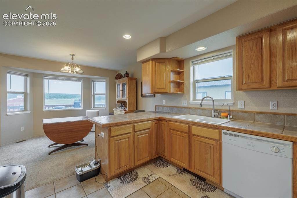 471 Due South Road Florissant CO 80816