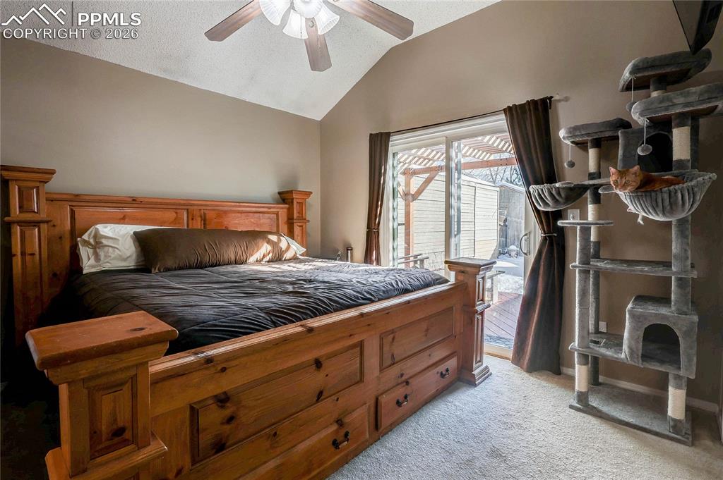 4923 Fabray Lane Colorado Springs CO 80922