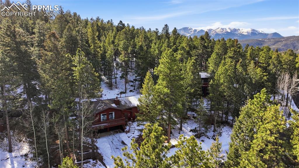 1003 Kings Crown Road Woodland Park CO 80863