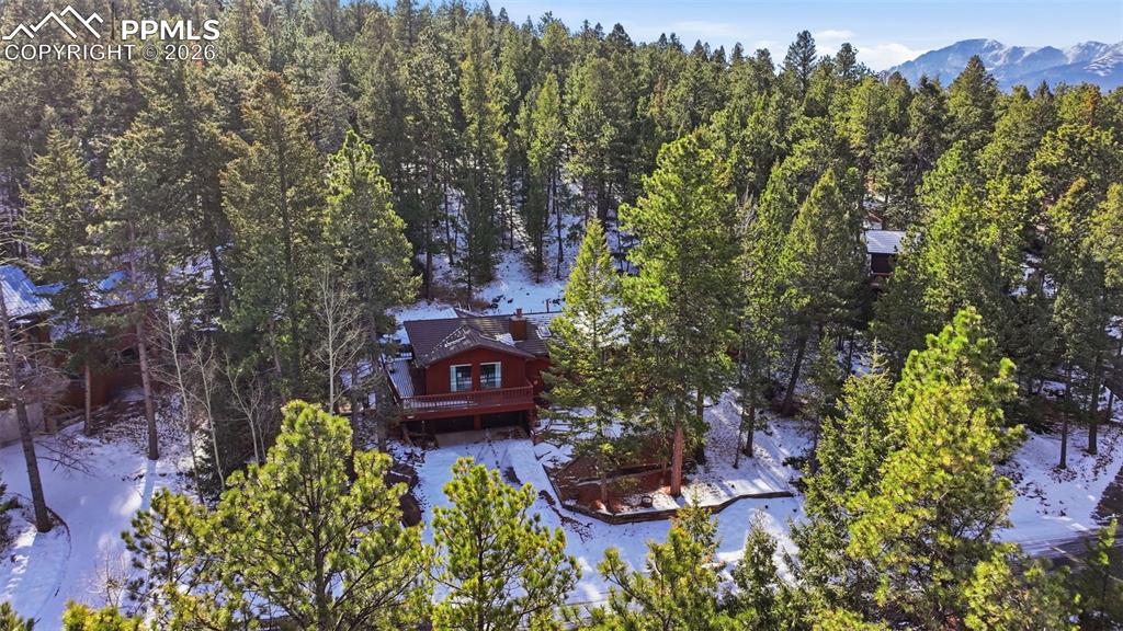 1003 Kings Crown Road Woodland Park CO 80863