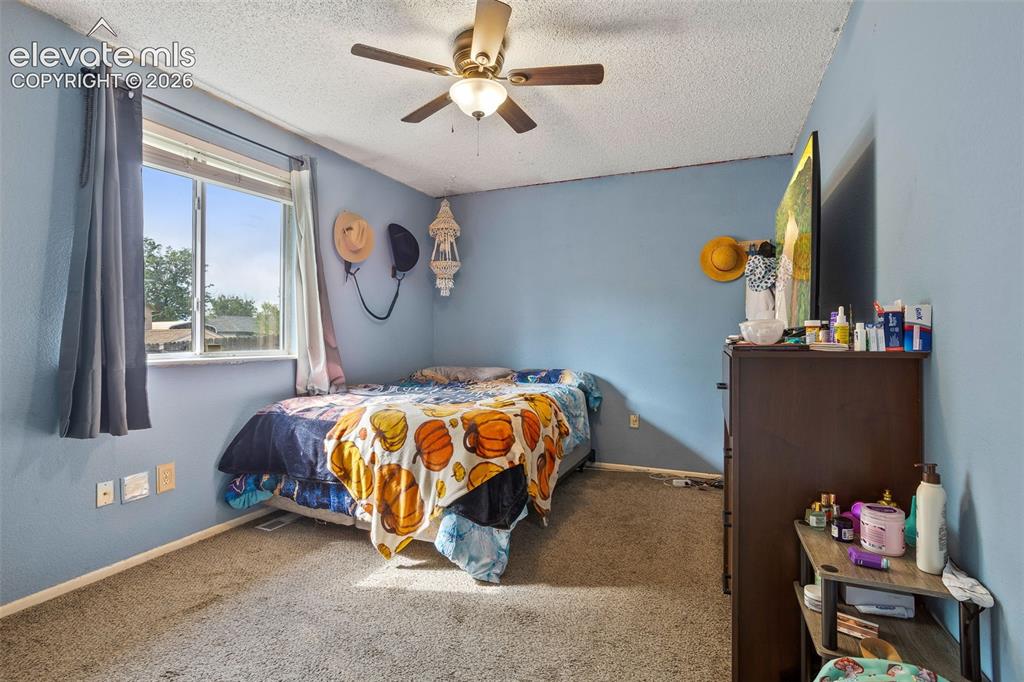 2516 Anjelina Circle Colorado Springs CO 80916