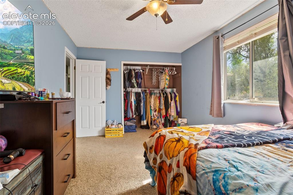 2516 Anjelina Circle Colorado Springs CO 80916