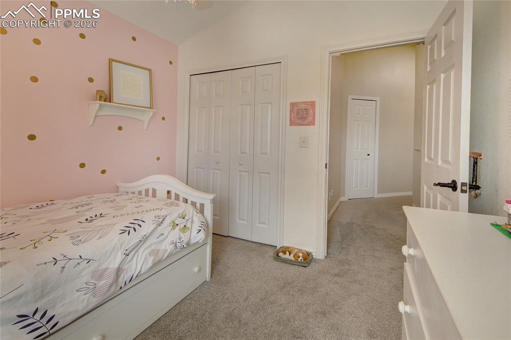 8270 Steadman Drive Colorado Springs CO 80920