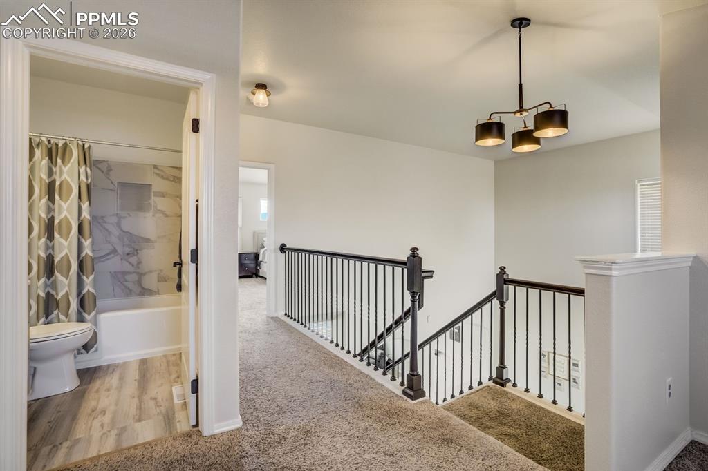 8809 Christy Court Colorado Springs CO 80951