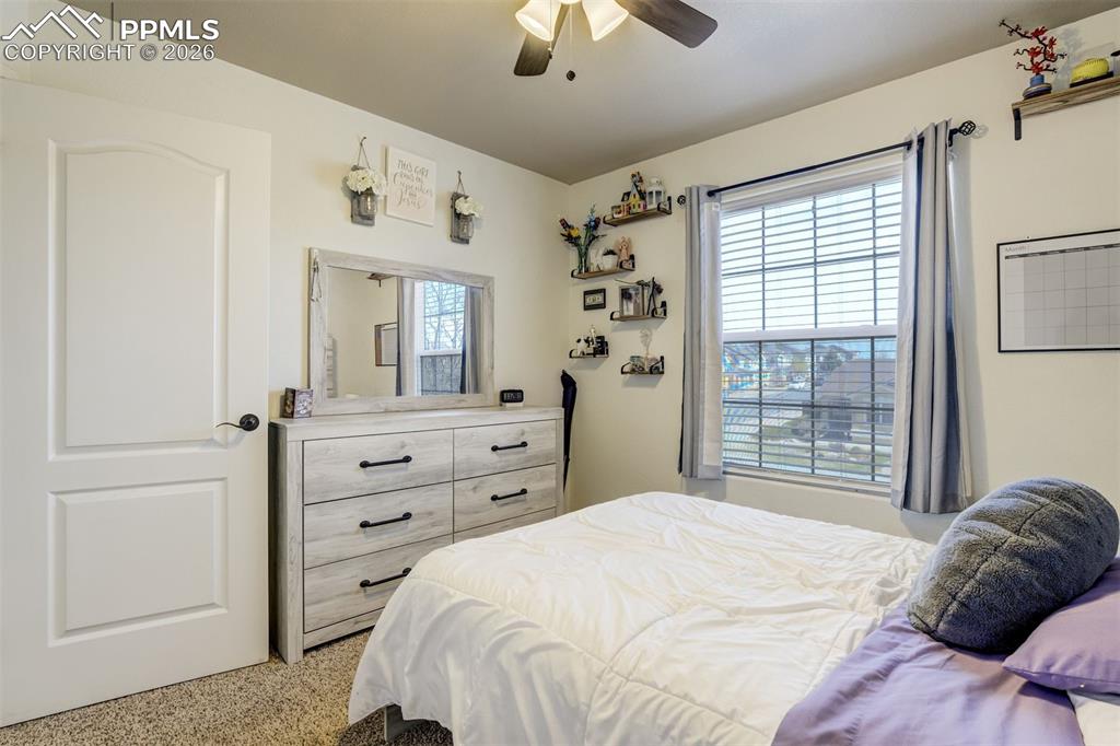 8809 Christy Court Colorado Springs CO 80951