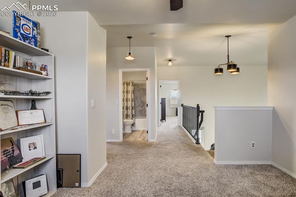 8809 Christy Court Colorado Springs CO 80951