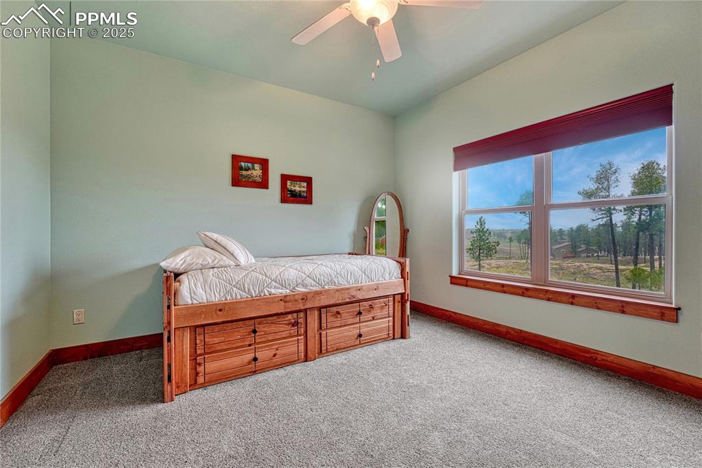 6625 Gun Club Trail Colorado Springs CO 80908
