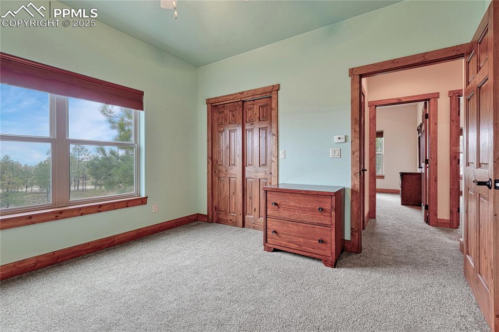 6625 Gun Club Trail Colorado Springs CO 80908