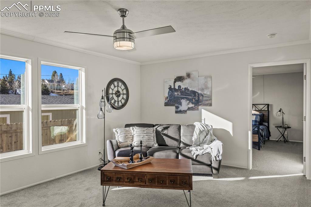 525 Carr Avenue Cripple Creek CO 80813