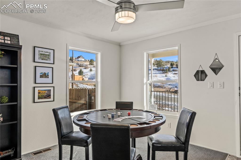 525 Carr Avenue Cripple Creek CO 80813