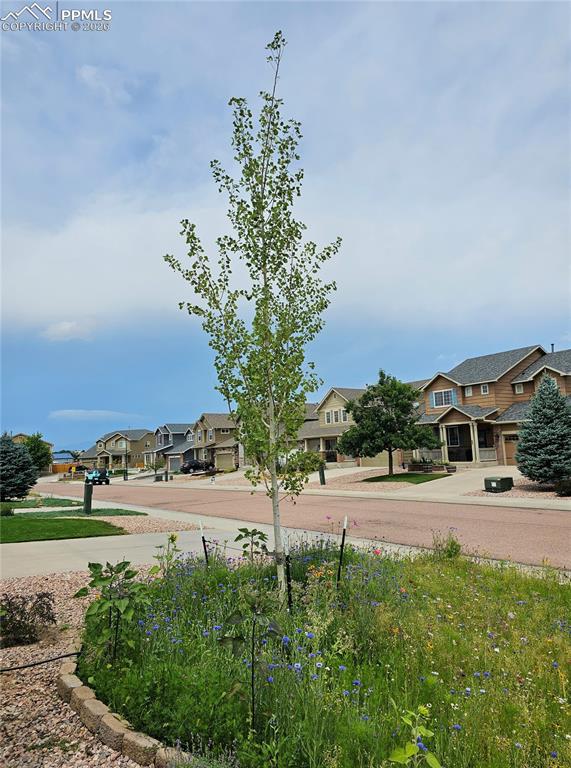 7889 Notre Way Colorado Springs CO 80951