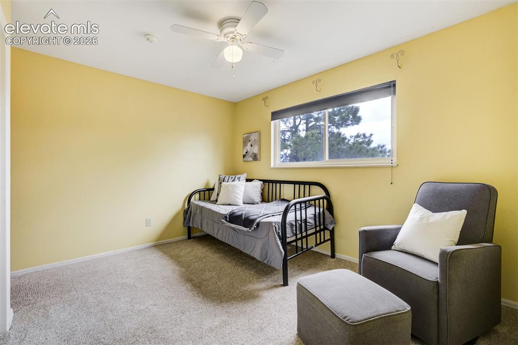141 Dolomite Drive Colorado Springs CO 80919