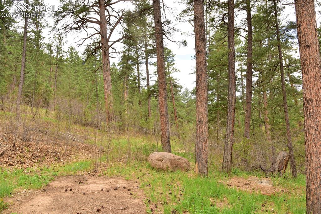 9017 Pine Avenue Beulah CO 81023