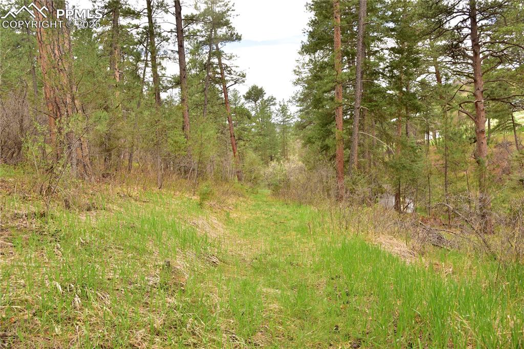 9017 Pine Avenue Beulah CO 81023