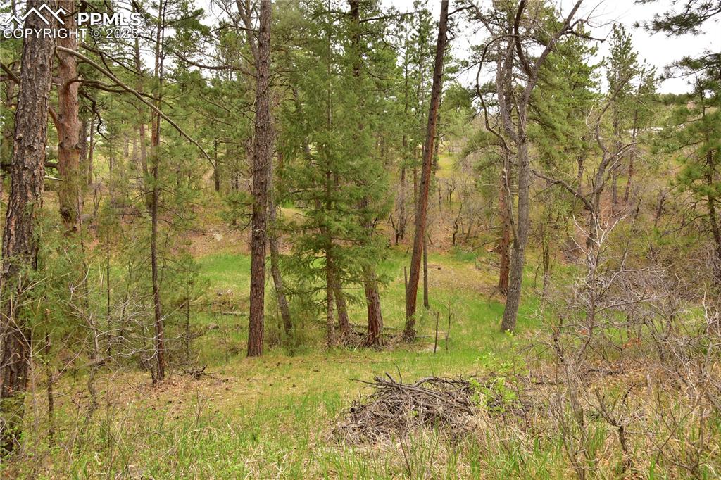 9017 Pine Avenue Beulah CO 81023