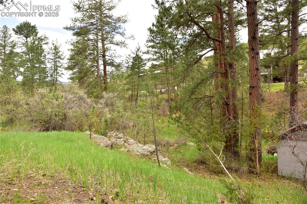 9017 Pine Avenue Beulah CO 81023