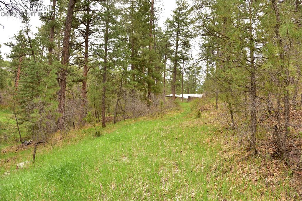 9017 Pine Avenue Beulah CO 81023