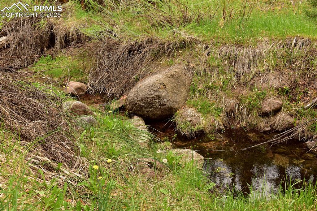 9017 Pine Avenue Beulah CO 81023