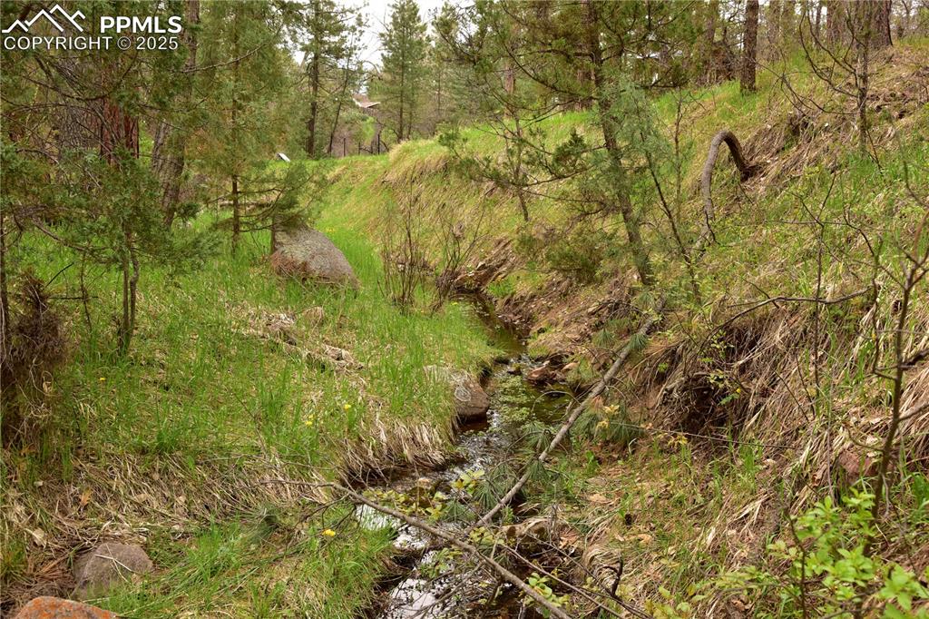 9017 Pine Avenue Beulah CO 81023