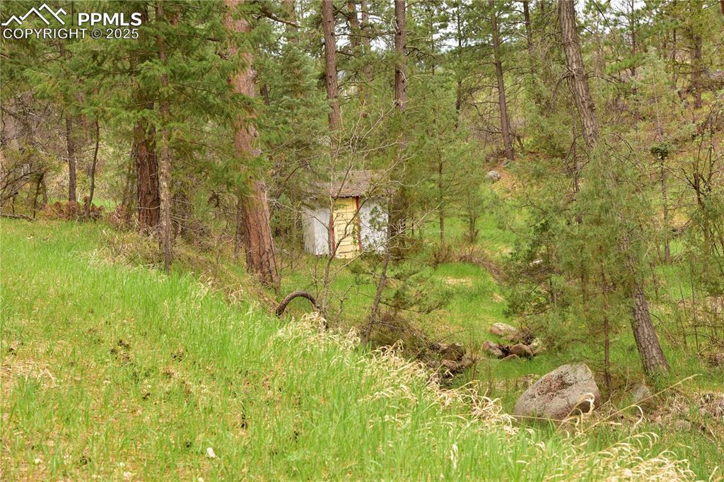 9017 Pine Avenue Beulah CO 81023