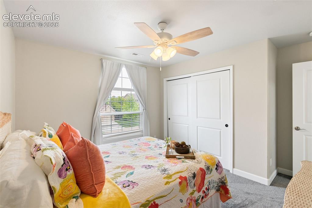 3415 Limber Pine Court Colorado Springs CO 80920