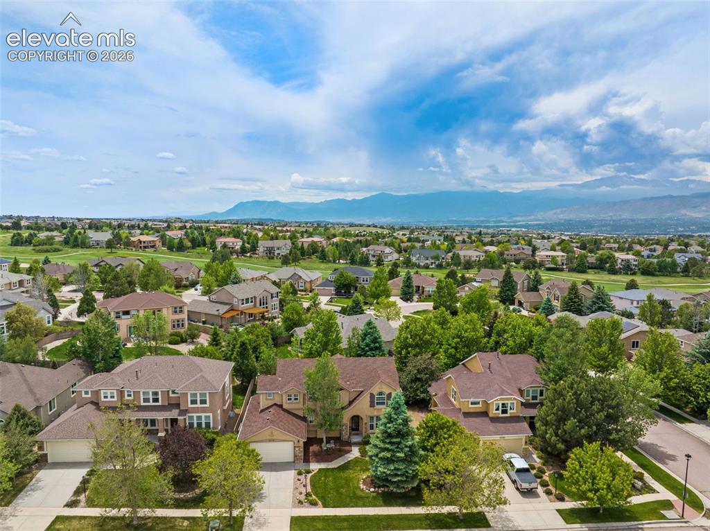 3415 Limber Pine Court Colorado Springs CO 80920