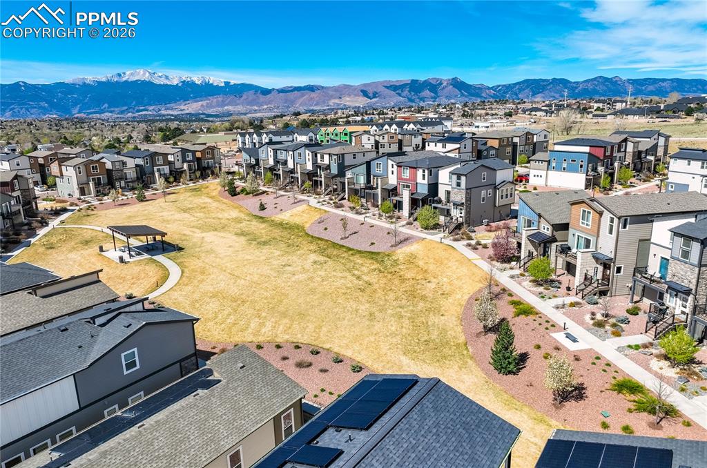 4169 Tree Creek Trail Colorado Springs CO 80918