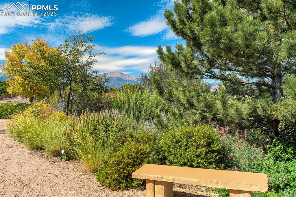 4169 Tree Creek Trail Colorado Springs CO 80918