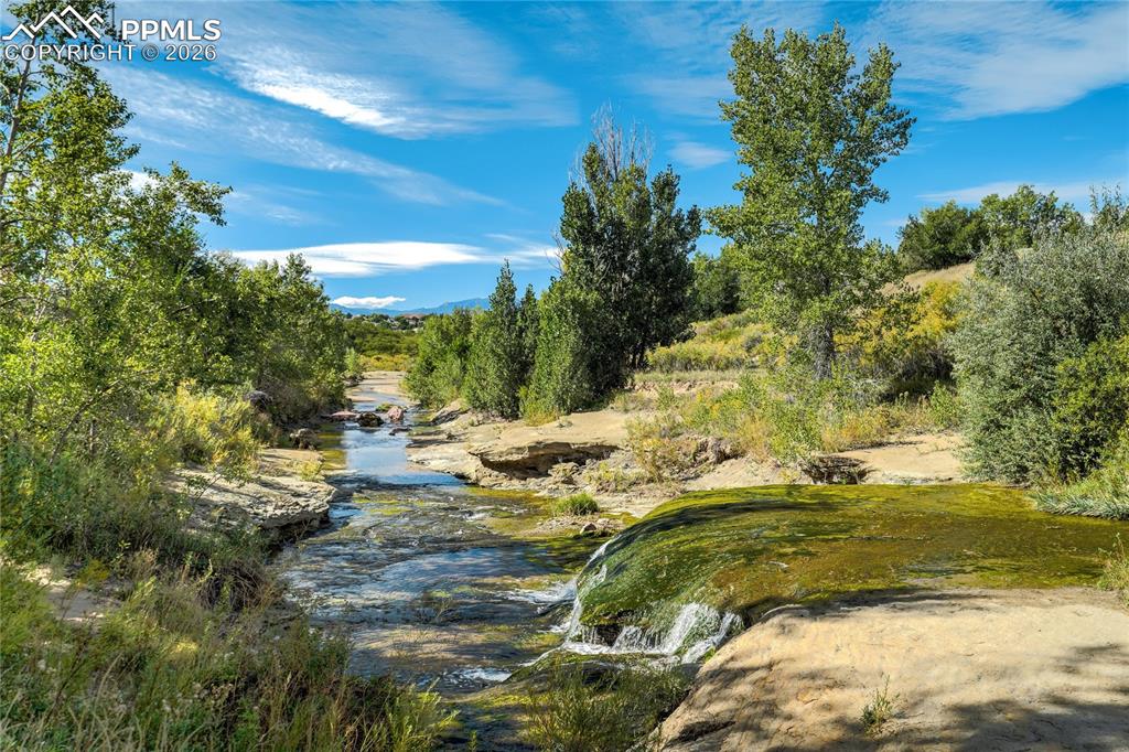 4169 Tree Creek Trail Colorado Springs CO 80918