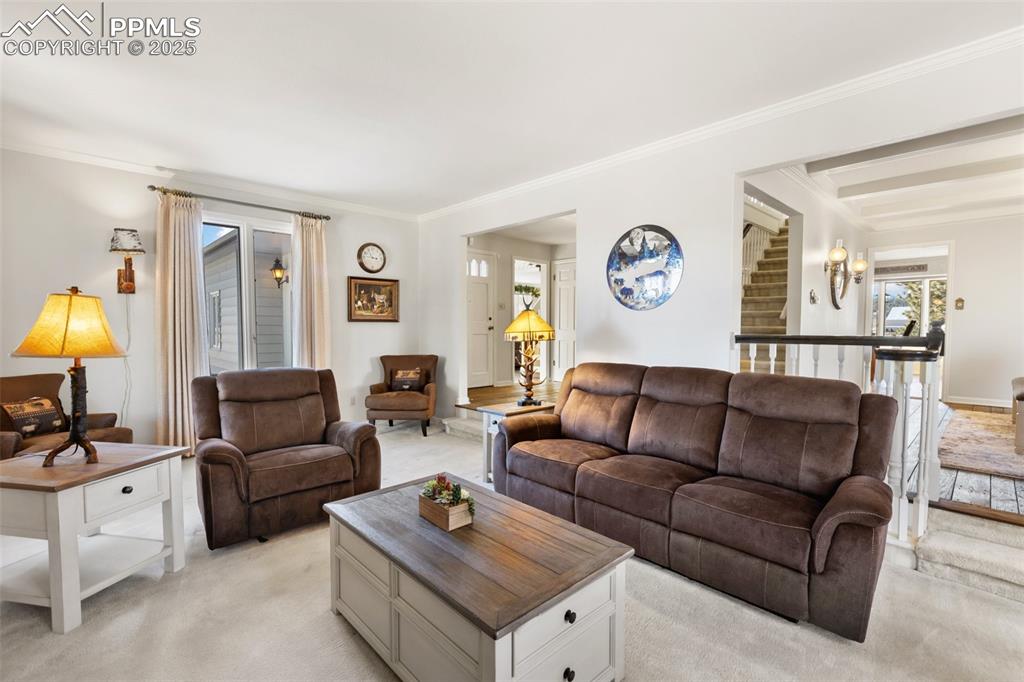 231 S Forty Road Woodland Park CO 80863