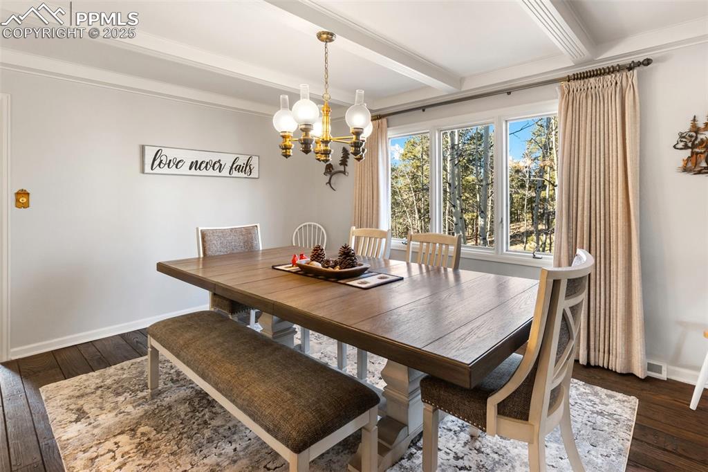231 S Forty Road Woodland Park CO 80863