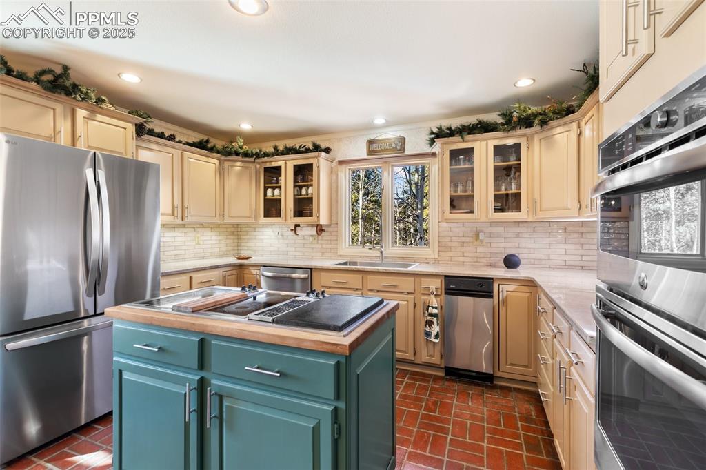 231 S Forty Road Woodland Park CO 80863