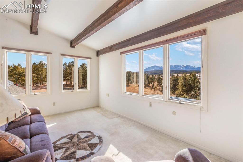 231 S Forty Road Woodland Park CO 80863