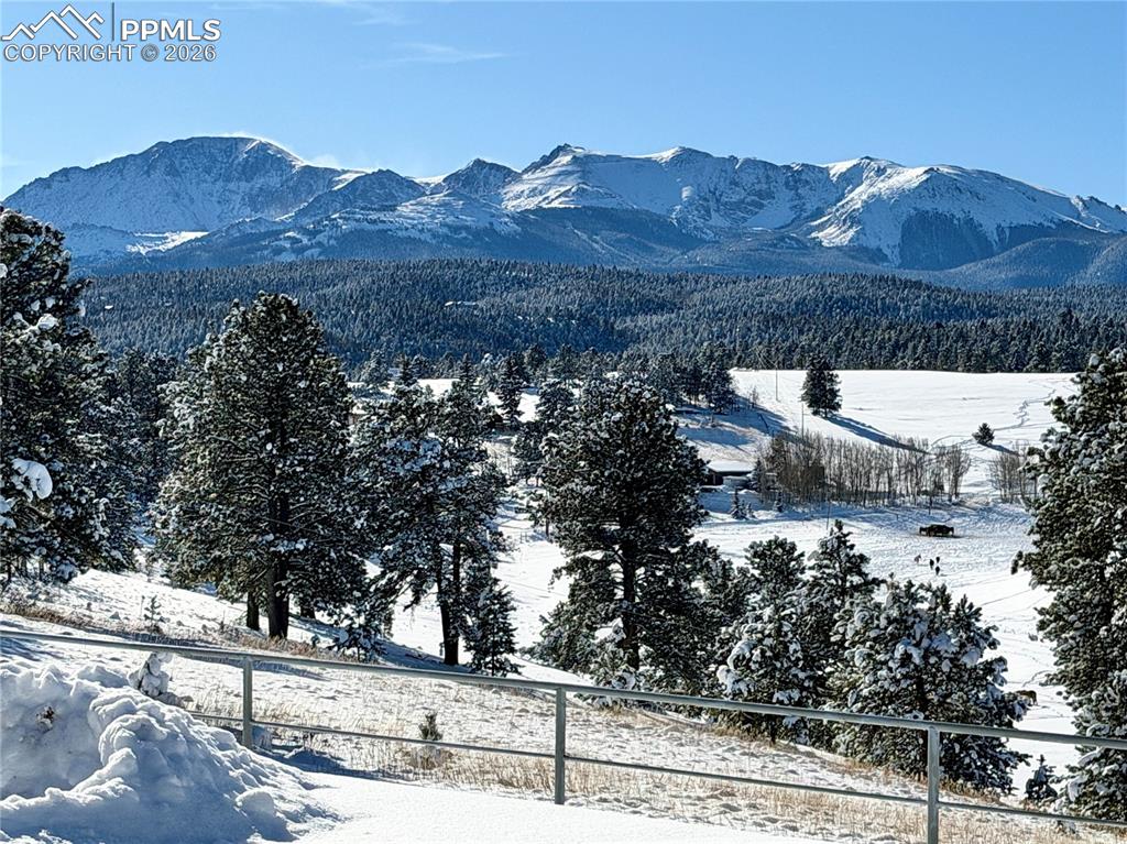 231 S Forty Road Woodland Park CO 80863