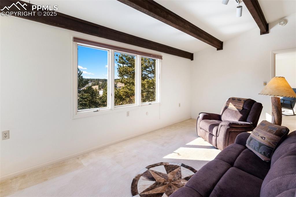 231 S Forty Road Woodland Park CO 80863