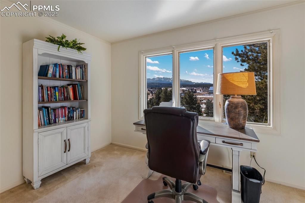 231 S Forty Road Woodland Park CO 80863