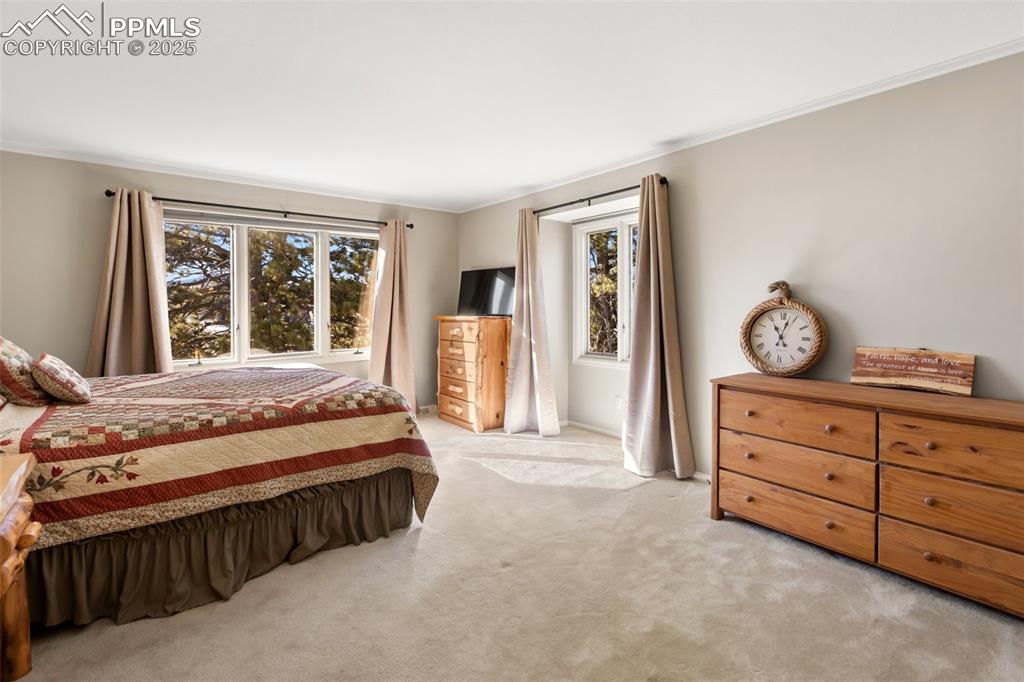 231 S Forty Road Woodland Park CO 80863