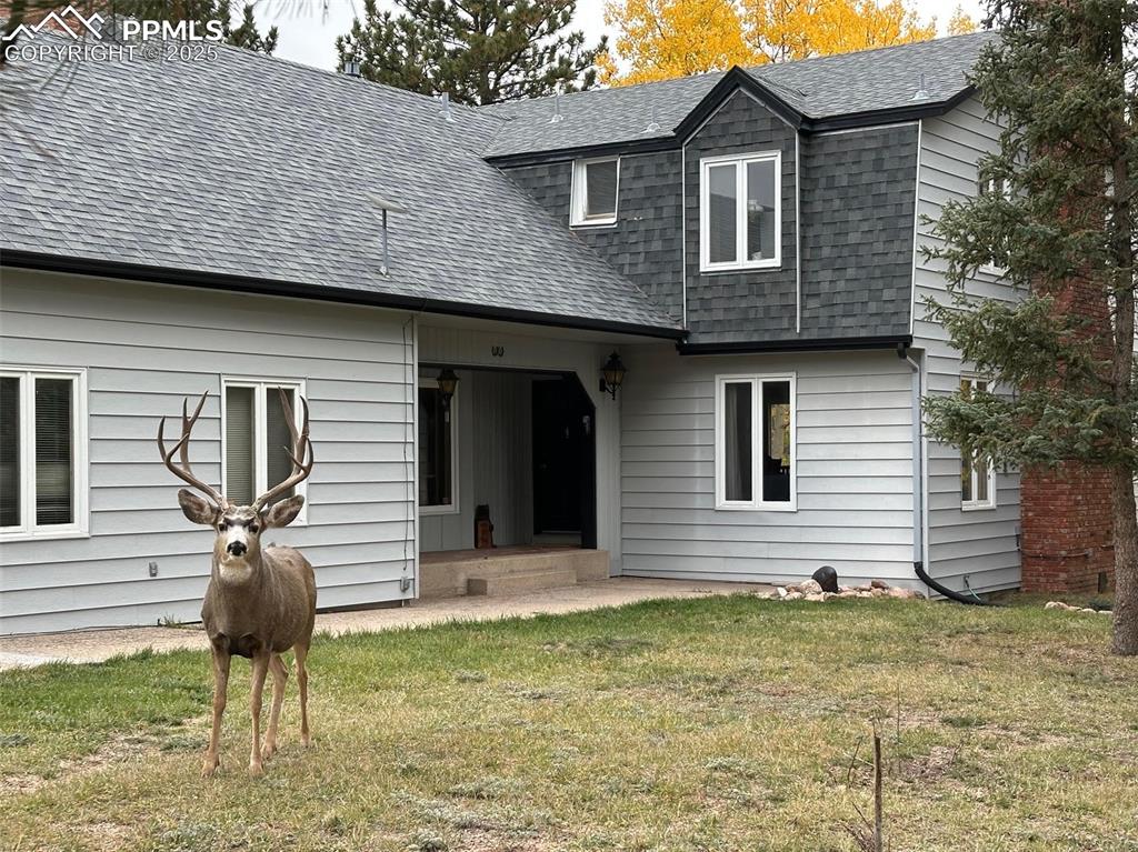 231 S Forty Road Woodland Park CO 80863
