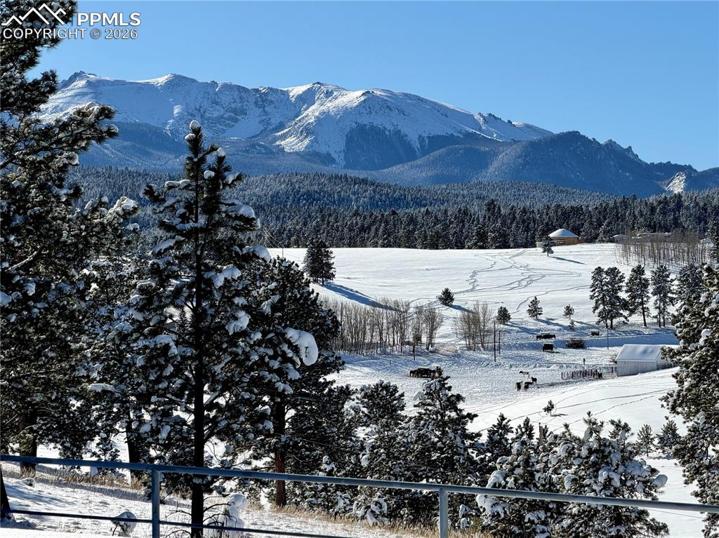 231 S Forty Road Woodland Park CO 80863