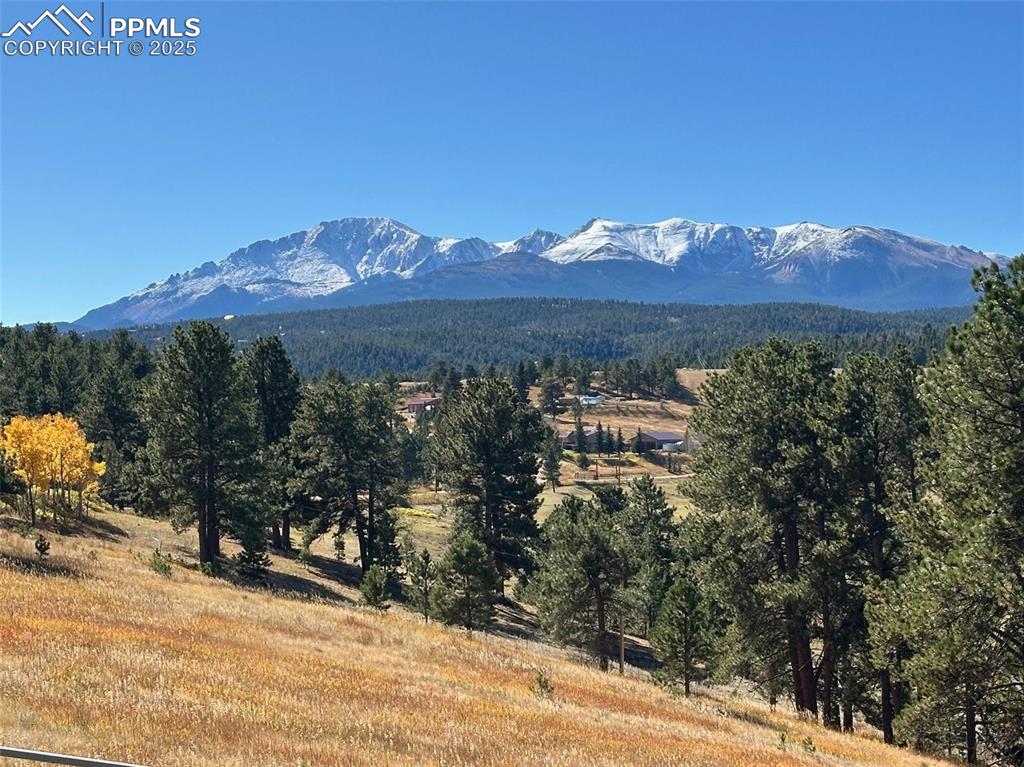 231 S Forty Road Woodland Park CO 80863
