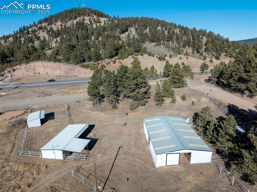 231 S Forty Road Woodland Park CO 80863