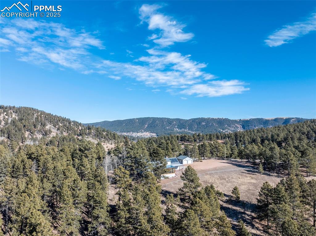 231 S Forty Road Woodland Park CO 80863