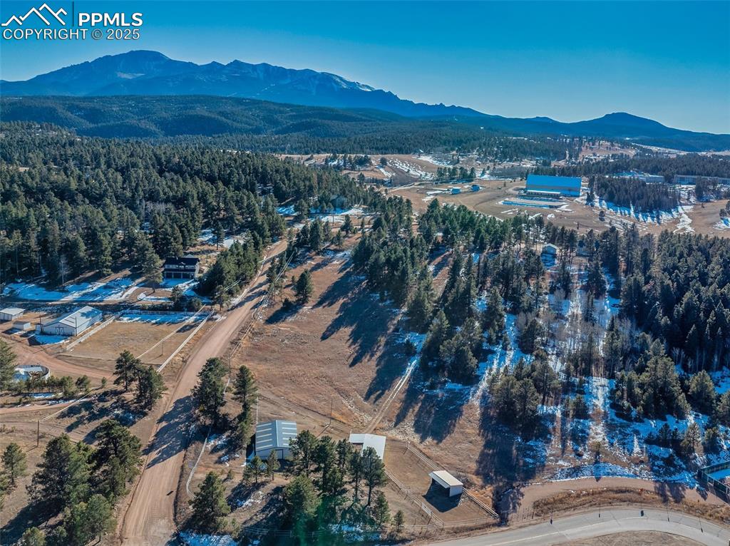 231 S Forty Road Woodland Park CO 80863