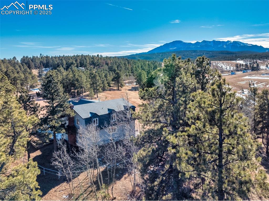 231 S Forty Road Woodland Park CO 80863