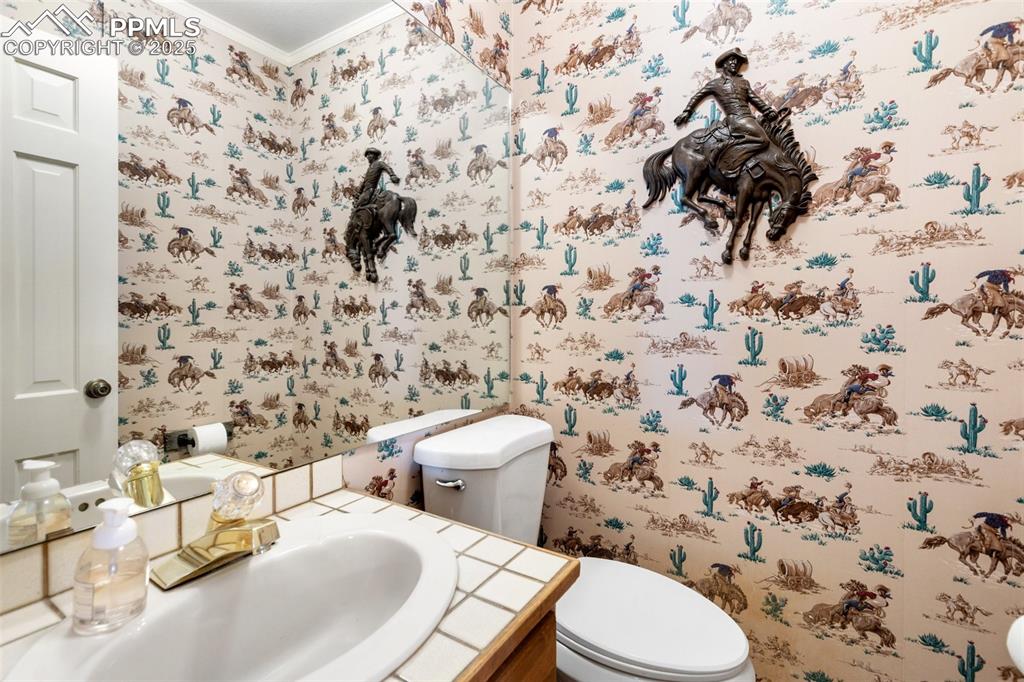 231 S Forty Road Woodland Park CO 80863