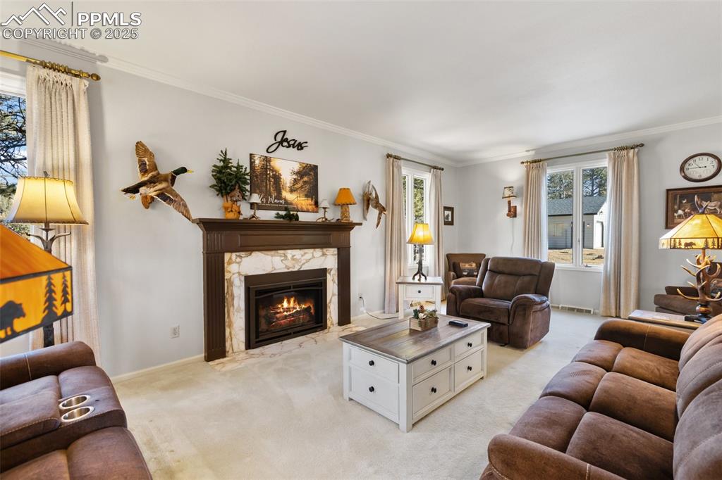 231 S Forty Road Woodland Park CO 80863