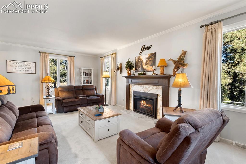 231 S Forty Road Woodland Park CO 80863