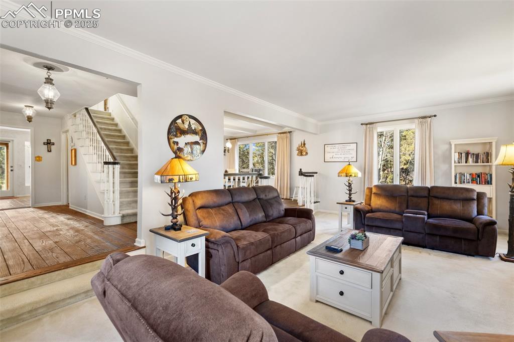 231 S Forty Road Woodland Park CO 80863
