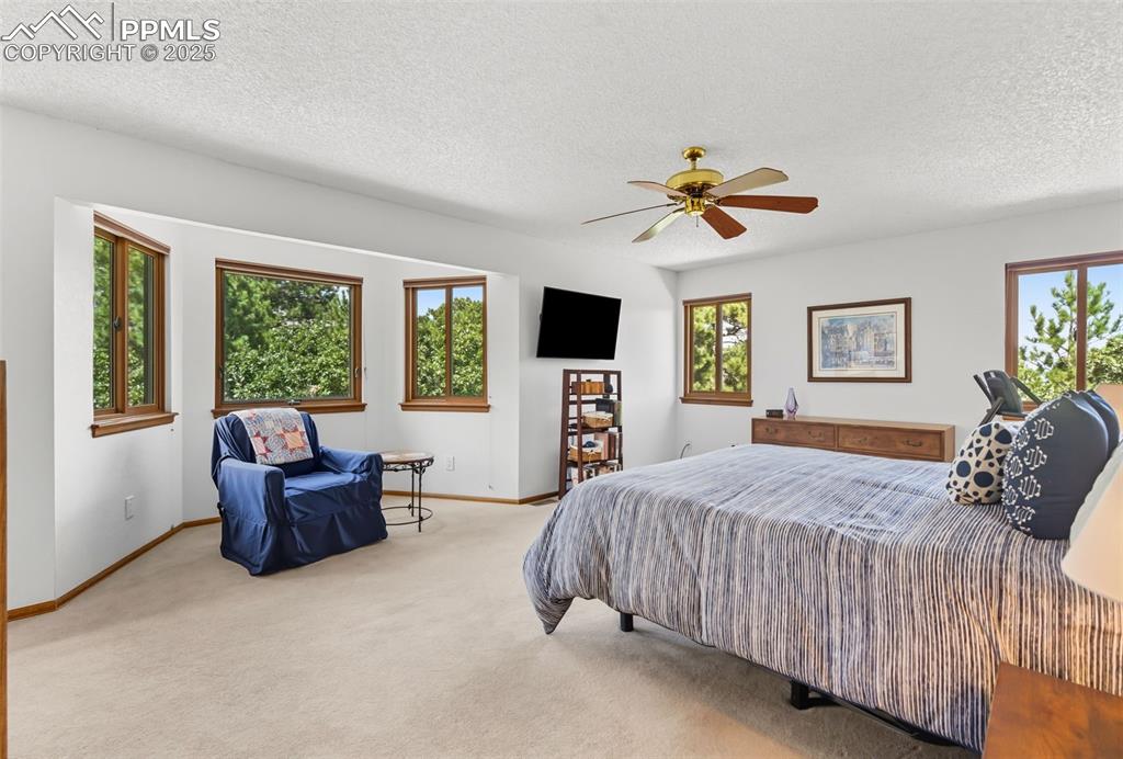 20 Lowick Drive Colorado Springs CO 80906