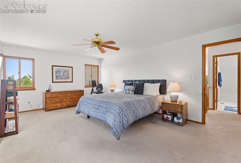 20 Lowick Drive Colorado Springs CO 80906